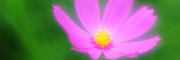 Twitter New Header Image 01240