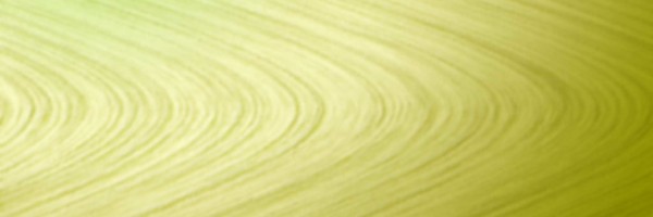 Twitter New Header Image 01262