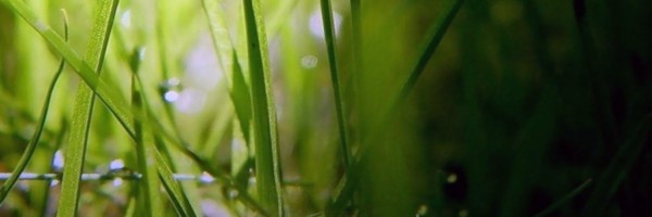 Twitter New Header Image 01270