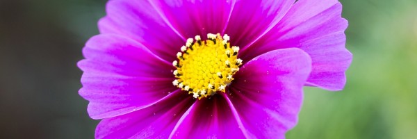 Twitter New Header Image 01280