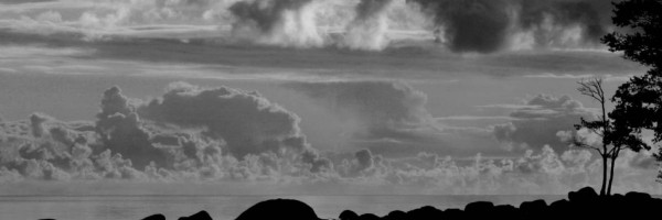 Twitter New Header Image 01287