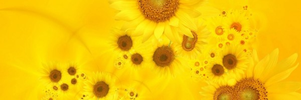 Twitter New Header Image 01298