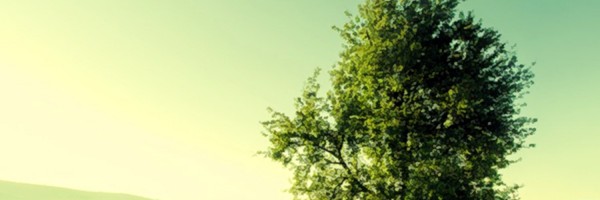 Twitter New Header Image 01304