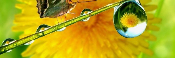 Twitter New Header Image 01305