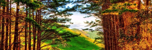 Twitter New Header Image 01308