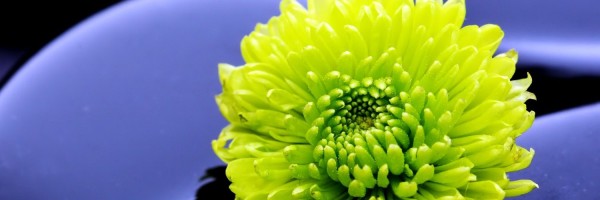 Twitter New Header Image 01309