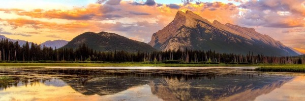 Twitter New Header Image 01310