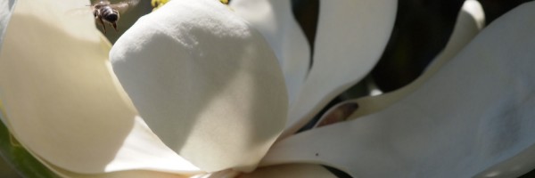 Twitter New Header Image 01352