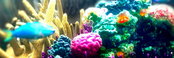 Twitter New Header Image 01358