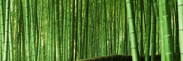 Twitter New Header Image 01365