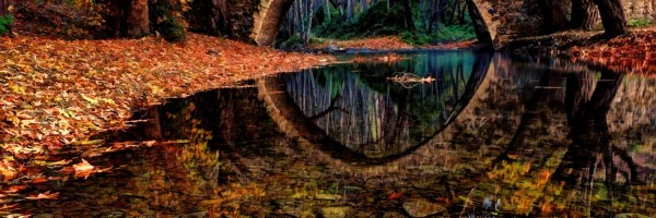 Twitter New Header Image 01368