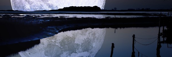 Twitter New Header Image 01373