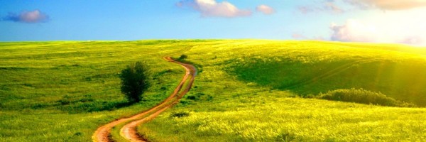 Twitter New Header Image 01376