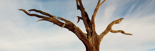 Twitter New Header Image 01382