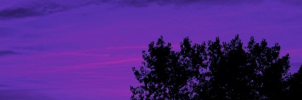 Twitter New Header Image 01383