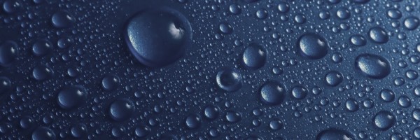 Twitter New Header Image 01384