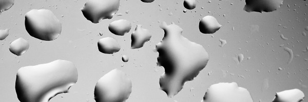 Twitter New Header Image 01386