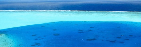 Twitter New Header Image 01387