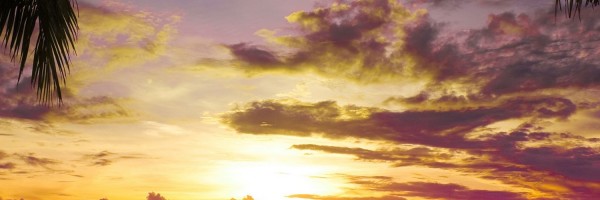 Twitter New Header Image 01389