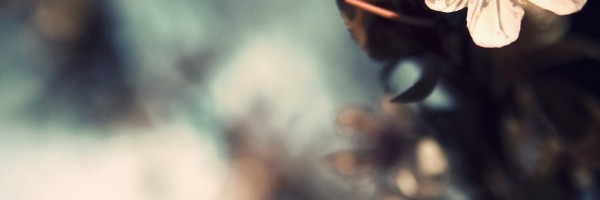 Twitter New Header Image 01393