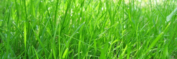 Twitter New Header Image 01402