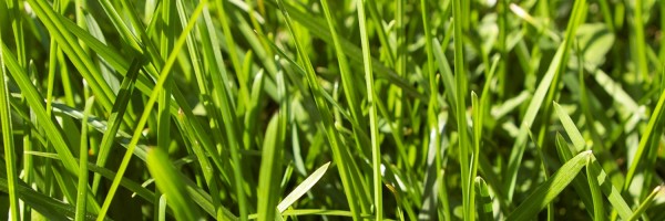 Twitter New Header Image 01403