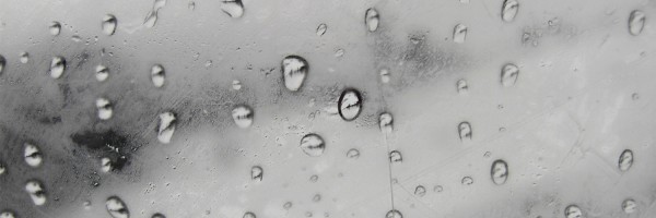 Twitter New Header Image 01406