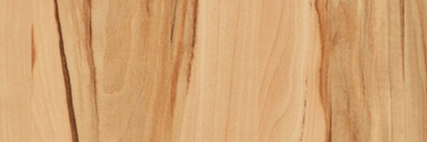 Twitter New Header Image 01413