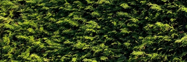 Twitter New Header Image 01418