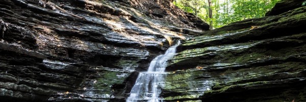 Twitter New Header Image 01432