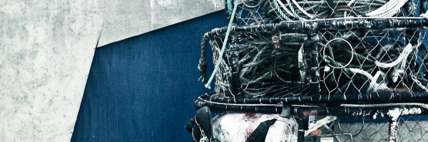 Twitter New Header Image 01434