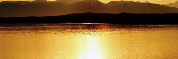 Twitter New Header Image 01436