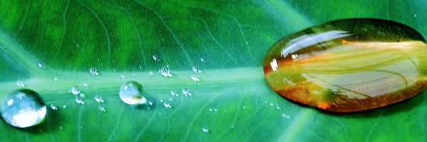 Twitter New Header Image 01441