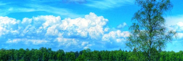 Twitter New Header Image 01442