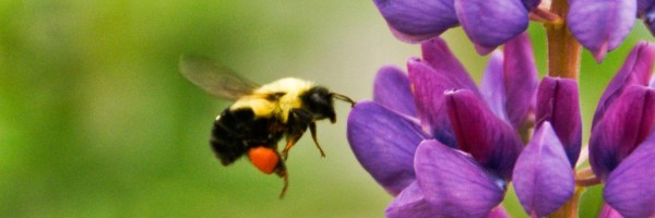 Twitter New Header Image 01455