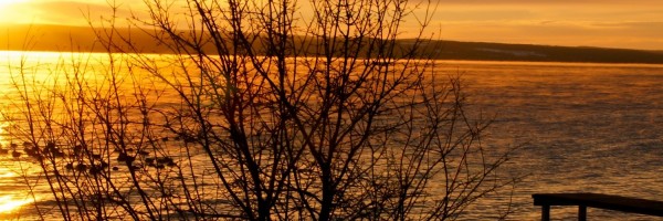 Twitter New Header Image 01457