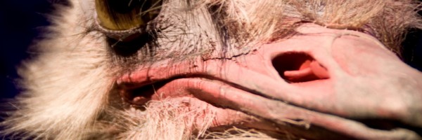 Twitter New Header Image 01464