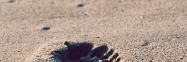 Twitter New Header Image 01472