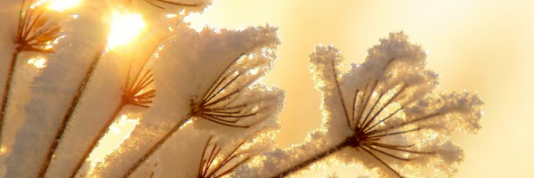 Twitter New Header Image 01474