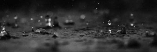 Twitter New Header Image 01475