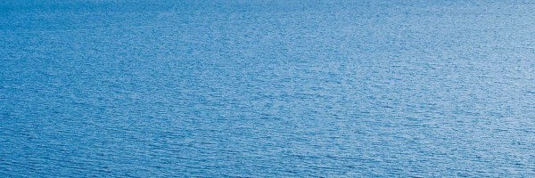 Twitter New Header Image 01479