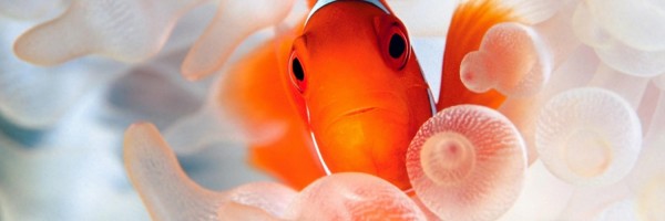 Twitter New Header Image 01481