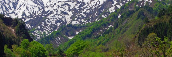 Twitter New Header Image 01483