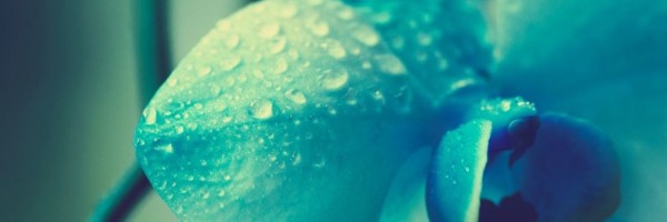 Twitter New Header Image 01487