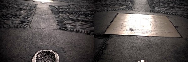 Twitter New Header Image 01492