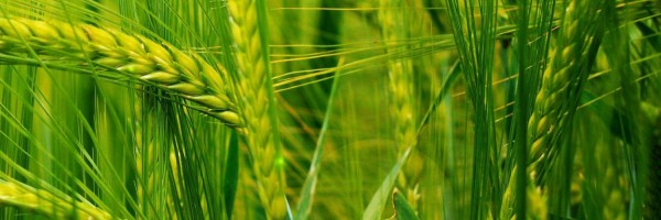 Twitter New Header Image 01504