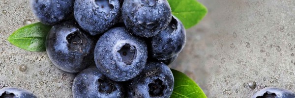 Twitter New Header Image 01506