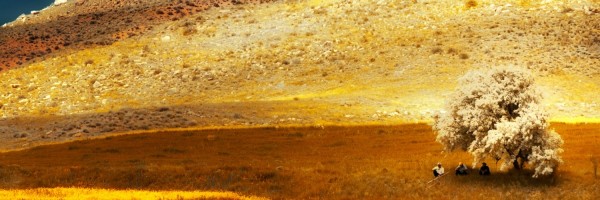 Twitter New Header Image 01513