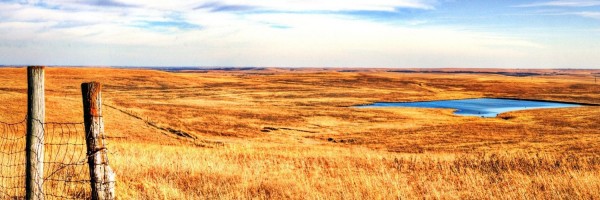 Twitter New Header Image 01516