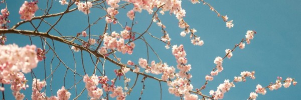 Twitter New Header Image 01524